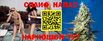 a pvp Обь