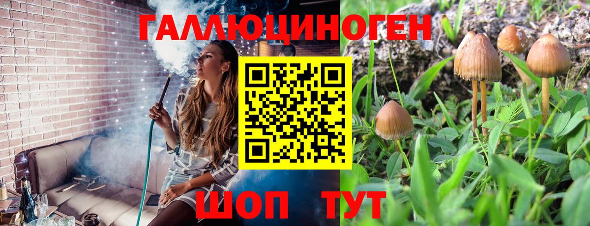 Галлюциногенные грибы мухоморы Сорочинск